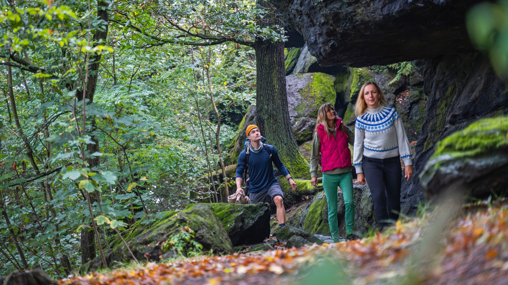 Wandern im Chemnitztal: An vielen Stellen in der Region rund um Chemnitz und Zwickau entfaltet die Landschaft ihren ganz speziellen Reiz. Foto: DJD/Tourismusverband Chemnitz Zwickau Region/Oliver Göhler
