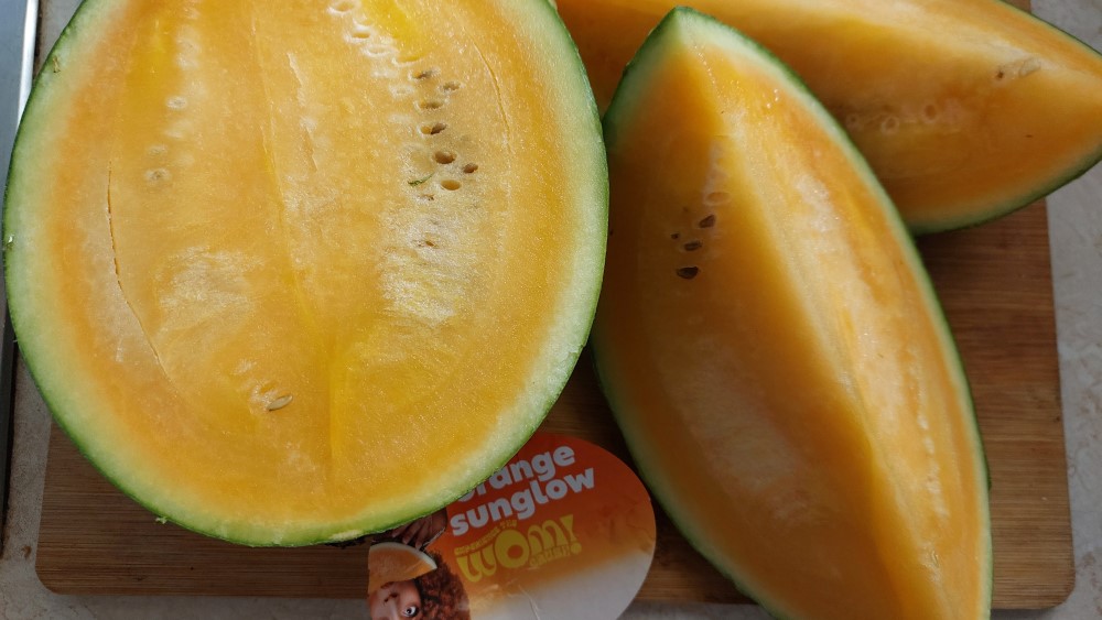 WOW Melone  © MeiDresden.de