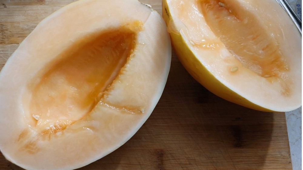 Rugby Melone © MeiDresden.de