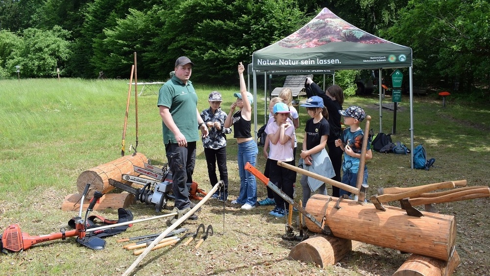 Förster, Ranger, Forstwirte sowie das Team der Umweltbildung der Nationalpark- und Forstverwaltung betreuten die vielfältigen Stationen der Parcours. Mit Erfahrung und Engagement vermittelten sie den Kindern spannende Informationen über den Wald.  Foto: Hp. Mayr