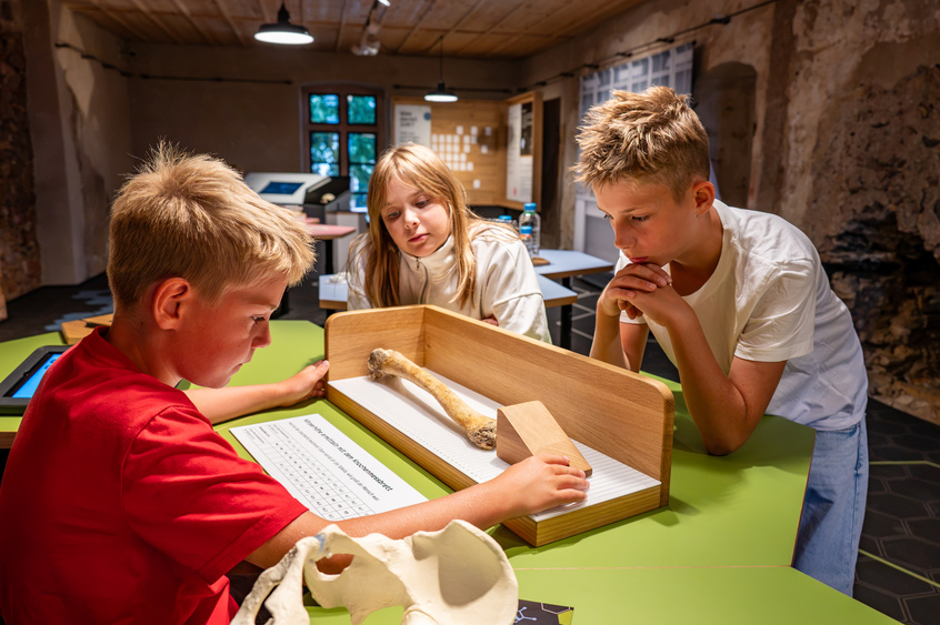 Anthro Lab Burg Mildenstein © Dietmar Thomas