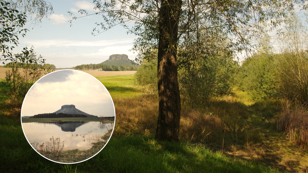 Blickwechsel am Hörnelteich Fotomontage © Hartmut Landgraf