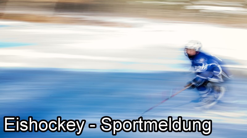 Die Dresdner Eislöwen sind auch im zweiten Spiel des neuen Jahres leer ausgegangen. ©Symbolfoto