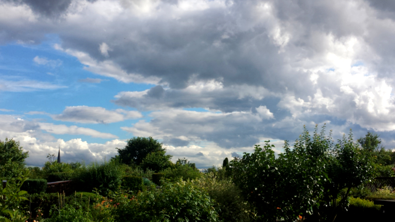 Sommer ja, aber die Gießkanne wird immer wieder von óben nachgefüllt © MeiDresden.de