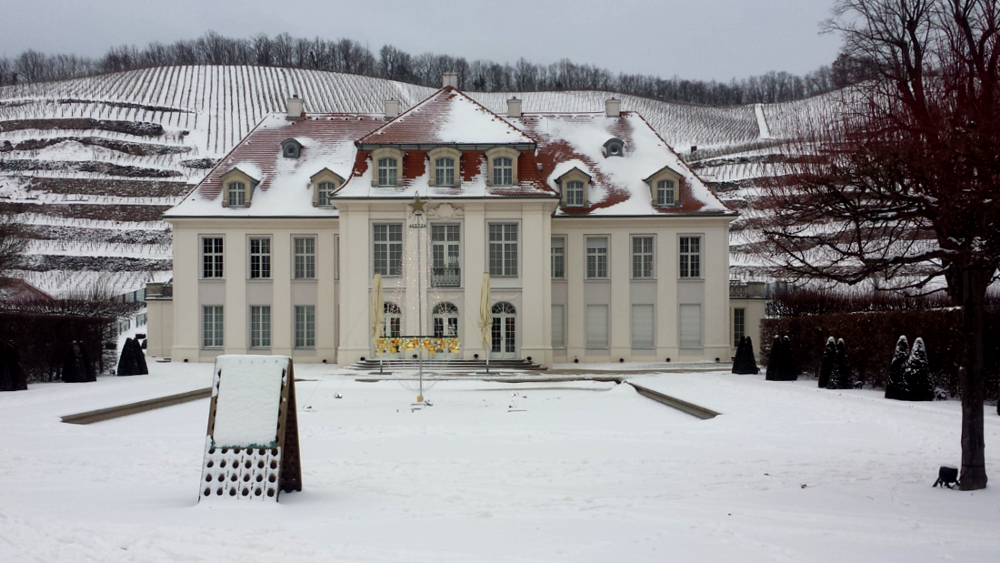© MeiDresden.de