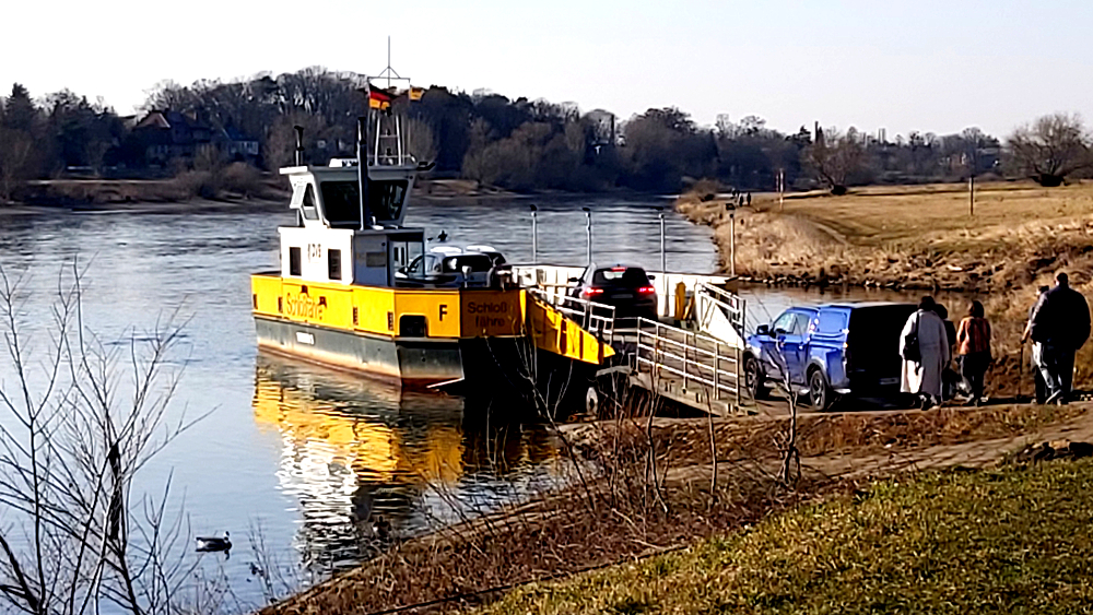 Autofähre Pillnitz. Foto: MeiDresden.de