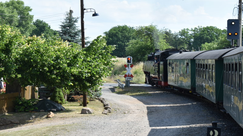 Auch auf der Lössnitzgrundbahn gibt es 2025 wieder viel zu erleben. Foto: MeiDresden.de