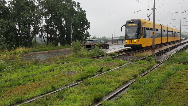 Fahrplanwechsel im Verkehrsverbund Oberelbe am 12. Dezember © MeiDresden.de